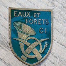 Rare insigne bronze eaux et