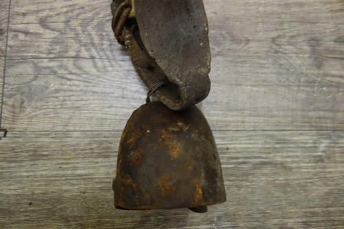 Cloche sonnaille avec - , collier