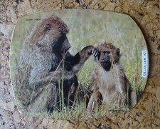 image autocollant LES AMIS DE