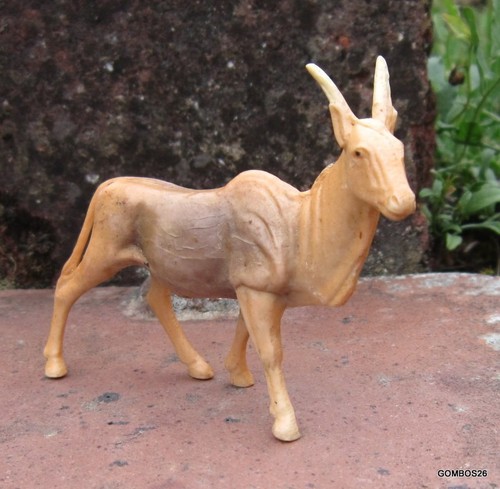 Clairet animaux sauvage - sauvage, zoo