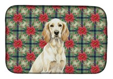 Lemon Belton English Setter