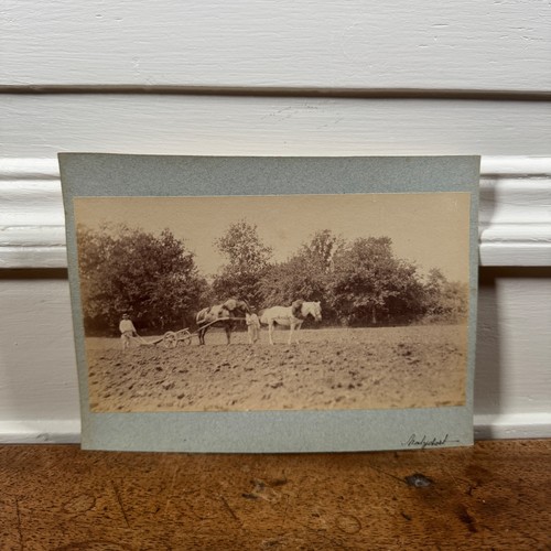 Photo albumine contrecollée
