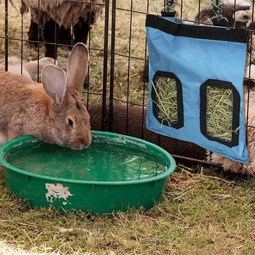 Foin lapin mangeoire - foin,