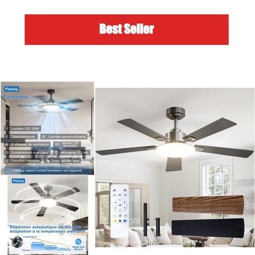 Passky ventilateur plafond - ventilateur, de