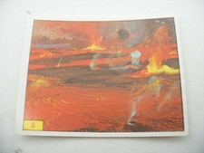 Stikers album PANINI 1992 immage Animaux Prehistorique Prehistoric Vignette n°5