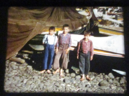 16mm madere 1960 film - 16mm:, 1960,