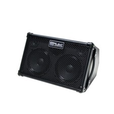 Acoustic Guitar Amplifier, 80