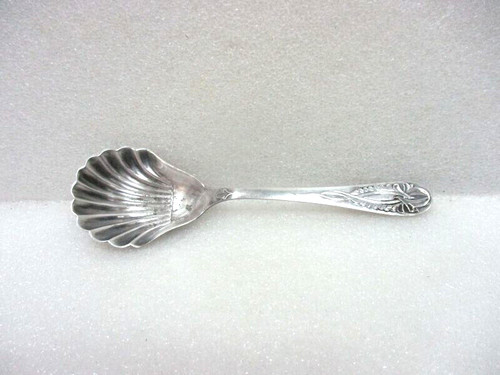 Cuillère saupoudrer en - à,