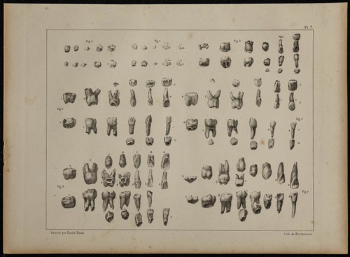 1839 planche d - 1839,