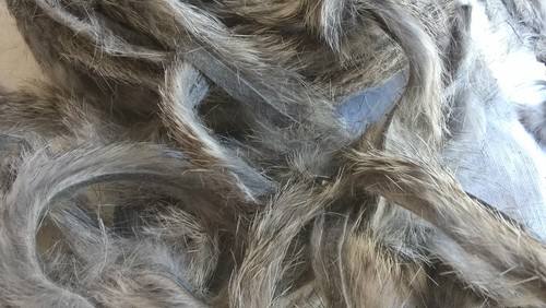 Peau fourrure lapin pour - de,