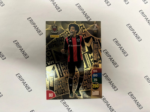 Momentum ligue dante panini - ligue,