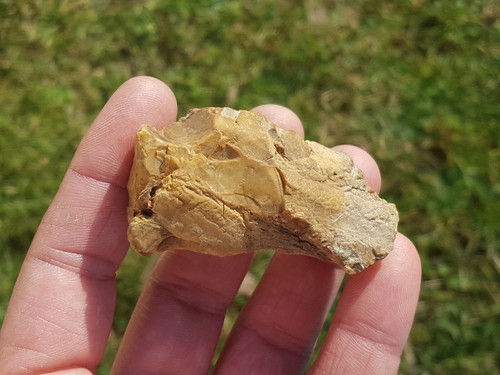 Charente maritime raw amber - raw,