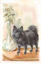 Animaux - n°90255 - Chien