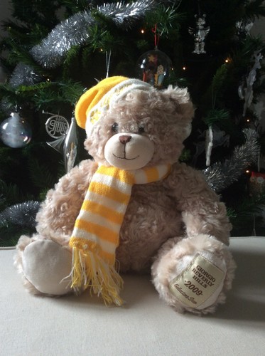 Peluche doudou ours - peluche,