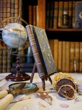 Le Père Goriot, H. de Balzac