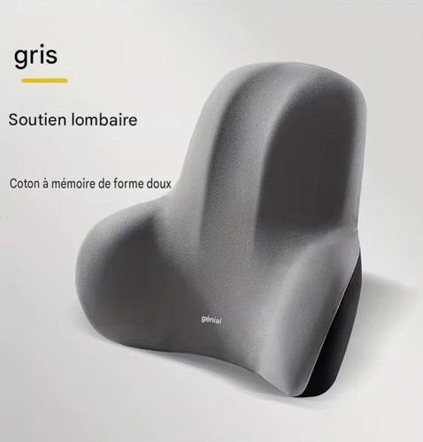Coussin lombaire mousse - coussin,