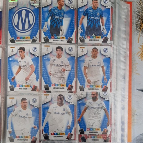 Panini adrenalyn équipe - panini,
