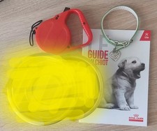 ? COLLIER CHIEN CHIOT SIMILI CUIR VERNI VERT OS IRISÉ + GUIDE ROYAL CANIN