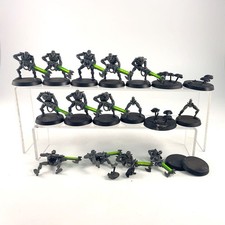 x15 Guerriers + Scarabés