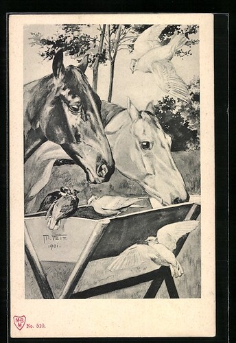 Oiseaux mangeoire de - à,