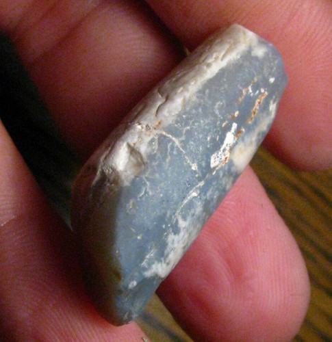Fossile pipe belemnite - o&co,