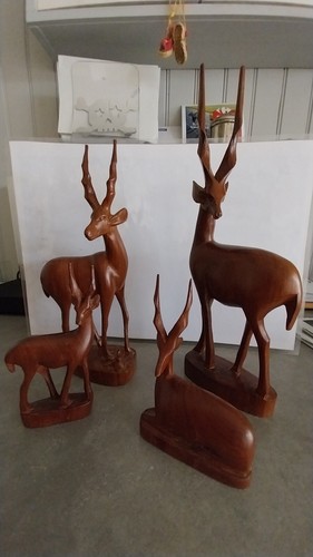 Gazelles antilopes - 4,