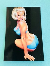 CARTE POSTALE 15X10 ASLAN PIN