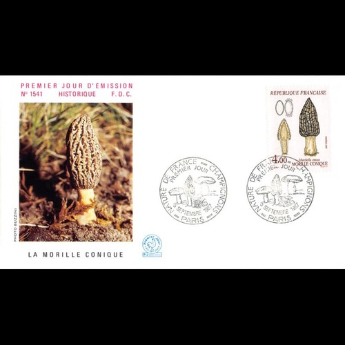 Fdc 1541 champignons - n°,