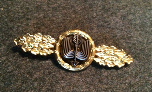 German luftwaffe flying clasp - german,