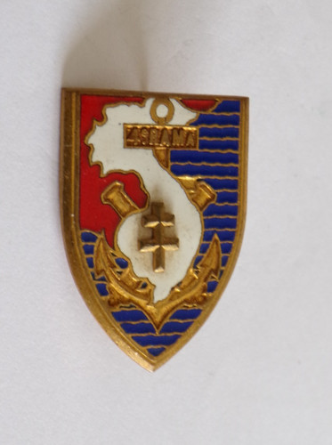 Insigne militaire regiment - insigne,