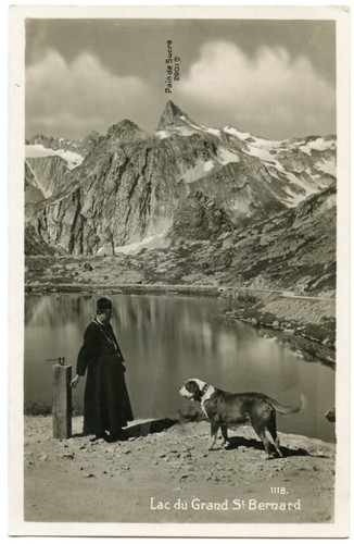 Moine chien lac grand - moine, chien.lac