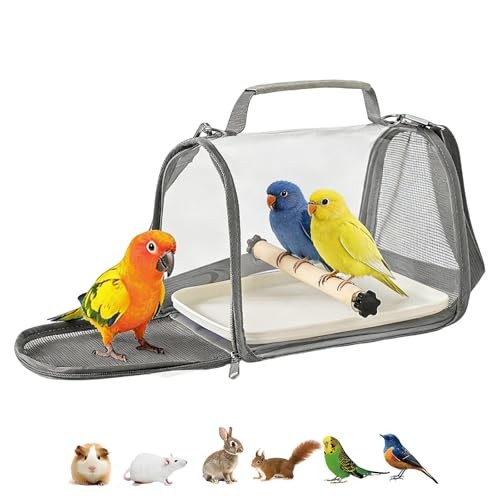 Cage oiseaux doté un - a,