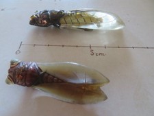 2 x broche ancienne cigale plastique transparent