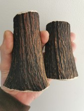 319. Ébauches en corne de