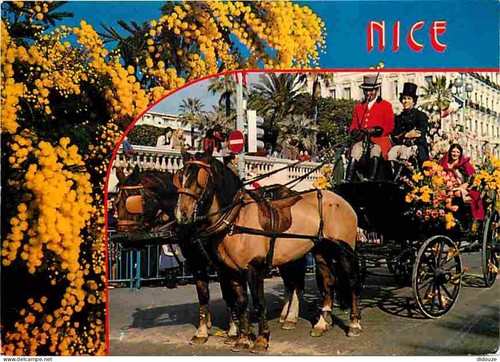 Carte postale animaux - carte,