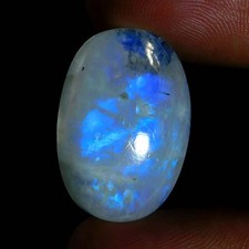 Vente en gros 24,85 Cts