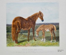 Gravures anglaises 19ème