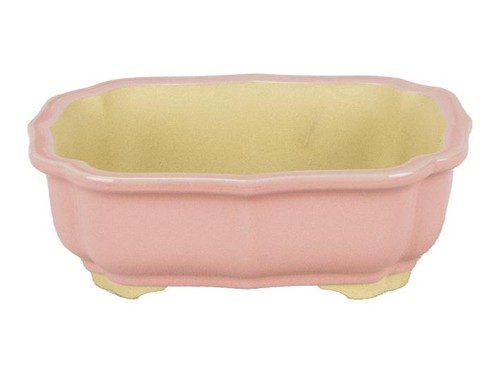 Pot bonsaï ovale grès - bonsaï,