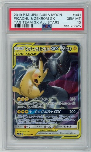 Pikachu zekrom tag - zekrom, team