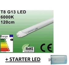 1 AMPOULE TUBE LED NEON 20W