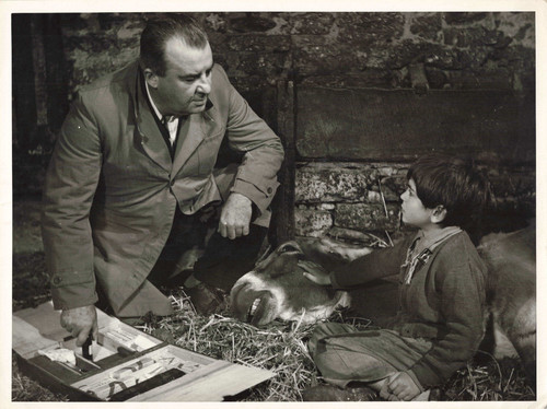 Photo cinema film - cinema, peppino