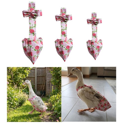 Couches pour canards - , et