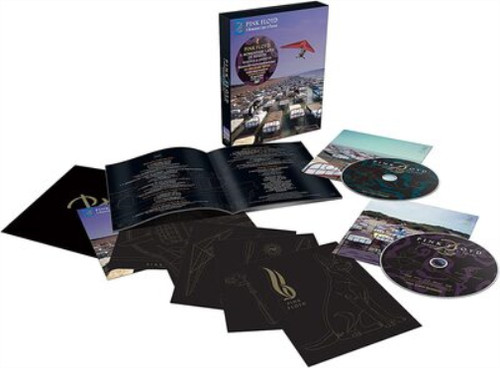 Pink floyd momentary - momentary, lapse