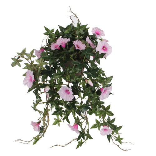 Mica decorations plante - mica,