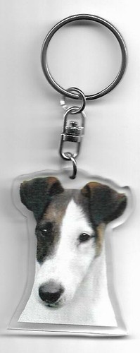 Fox terrier porte - fox, chien