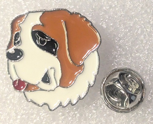 Saint bernard dog white - dog,