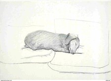 Art - Peinture - David Hockney - Stanley 1993 - Chiens - Crayon - Gallery Salts