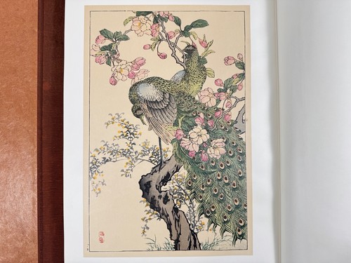 Livre oiseaux japonais - livre,