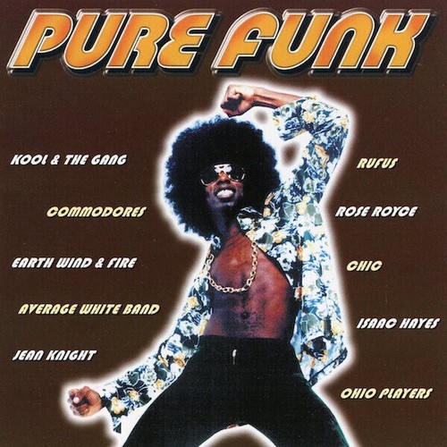 Pure funk various - cd,