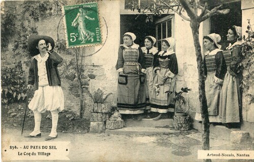 Pays sel coq du - pays,